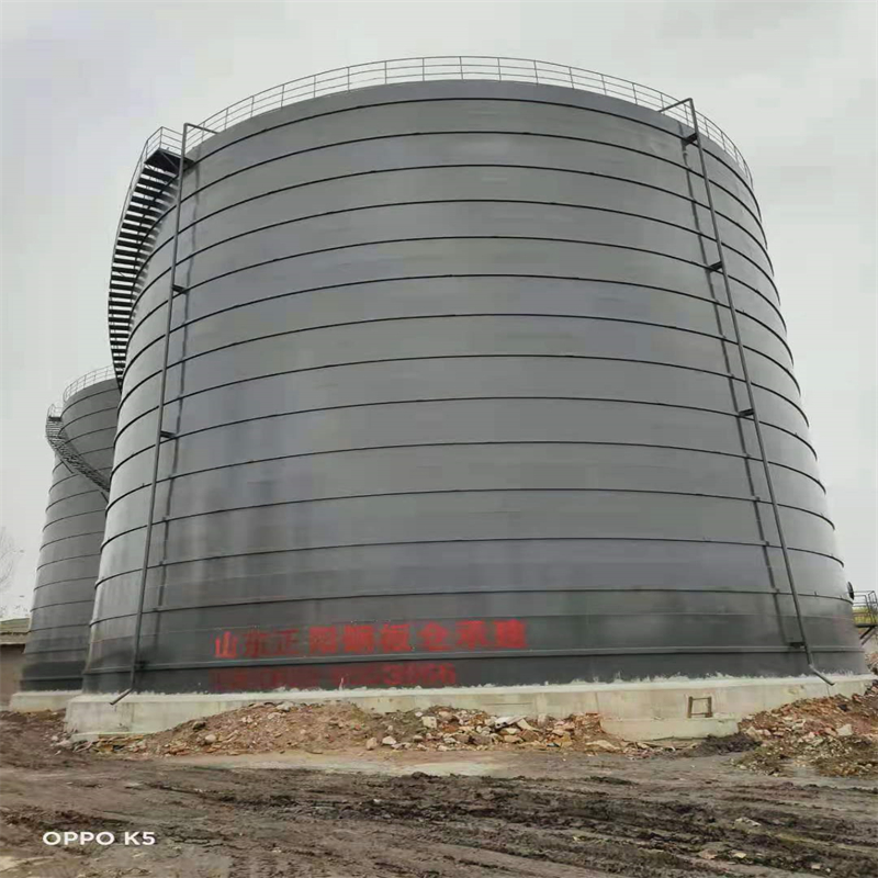 繁昌3万吨大型钢板库